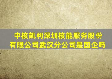 中核凯利深圳核能服务股份有限公司武汉分公司是国企吗