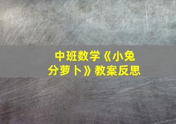 中班数学《小兔分萝卜》教案反思