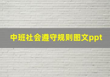 中班社会遵守规则图文ppt