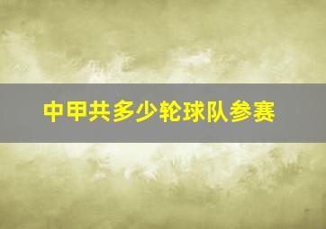 中甲共多少轮球队参赛