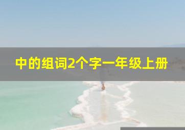 中的组词2个字一年级上册