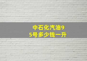 中石化汽油95号多少钱一升