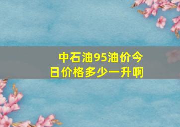 中石油95油价今日价格多少一升啊