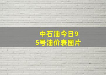 中石油今日95号油价表图片