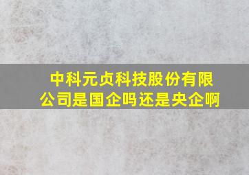 中科元贞科技股份有限公司是国企吗还是央企啊