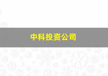 中科投资公司