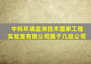 中科环境监测技术国家工程实验室有限公司属于几级公司