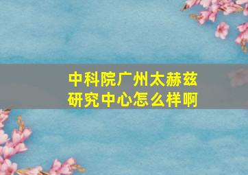 中科院广州太赫兹研究中心怎么样啊