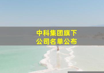 中科集团旗下公司名单公布