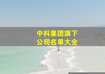 中科集团旗下公司名单大全