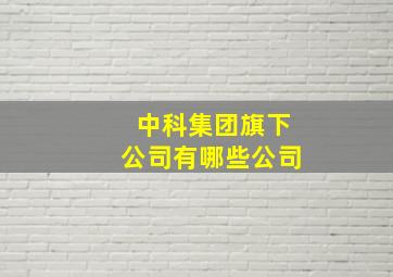 中科集团旗下公司有哪些公司