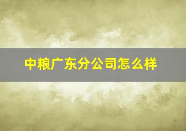 中粮广东分公司怎么样