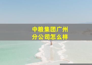 中粮集团广州分公司怎么样