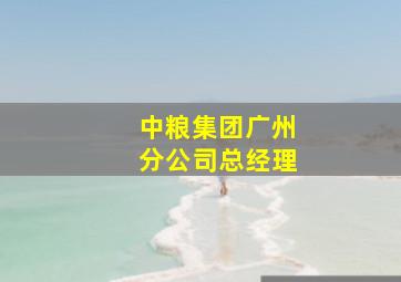 中粮集团广州分公司总经理