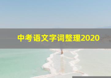 中考语文字词整理2020