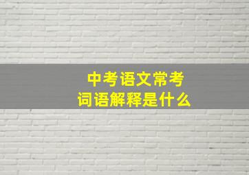 中考语文常考词语解释是什么