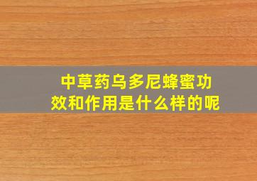 中草药乌多尼蜂蜜功效和作用是什么样的呢