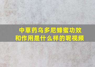 中草药乌多尼蜂蜜功效和作用是什么样的呢视频