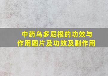 中药乌多尼根的功效与作用图片及功效及副作用