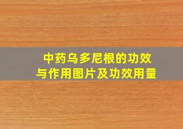 中药乌多尼根的功效与作用图片及功效用量