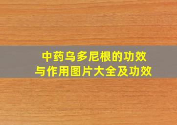 中药乌多尼根的功效与作用图片大全及功效