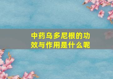 中药乌多尼根的功效与作用是什么呢