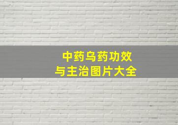 中药乌药功效与主治图片大全