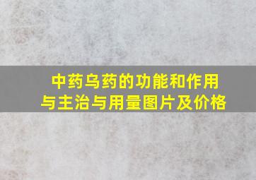 中药乌药的功能和作用与主治与用量图片及价格