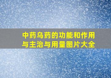 中药乌药的功能和作用与主治与用量图片大全