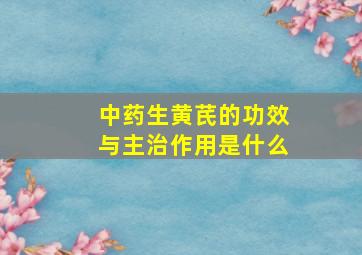 中药生黄芪的功效与主治作用是什么