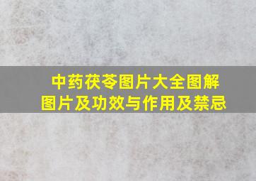 中药茯苓图片大全图解图片及功效与作用及禁忌