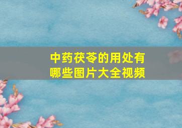 中药茯苓的用处有哪些图片大全视频