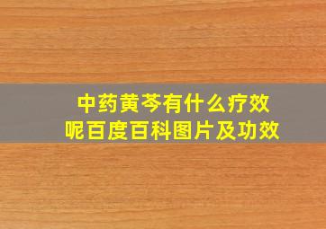 中药黄芩有什么疗效呢百度百科图片及功效