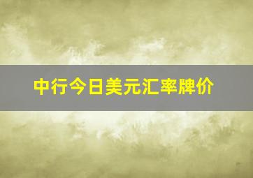 中行今日美元汇率牌价