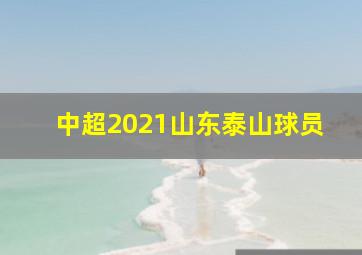 中超2021山东泰山球员