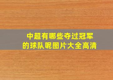 中超有哪些夺过冠军的球队呢图片大全高清