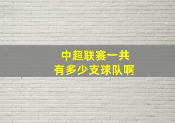 中超联赛一共有多少支球队啊