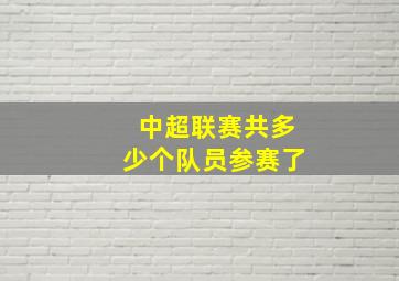 中超联赛共多少个队员参赛了