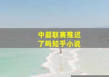 中超联赛推迟了吗知乎小说