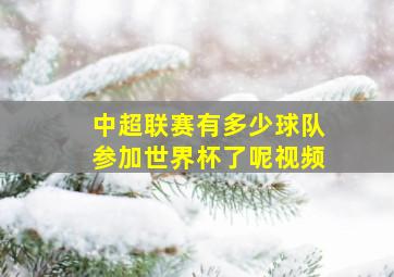 中超联赛有多少球队参加世界杯了呢视频