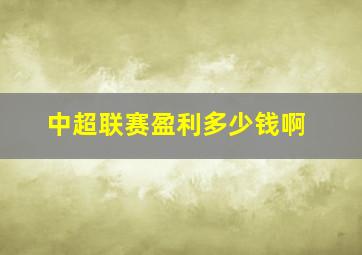 中超联赛盈利多少钱啊