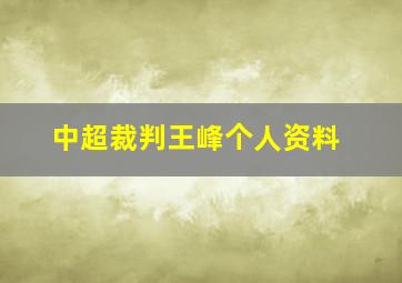 中超裁判王峰个人资料