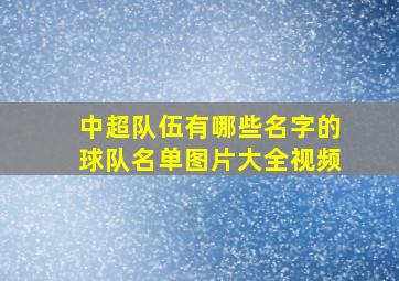 中超队伍有哪些名字的球队名单图片大全视频