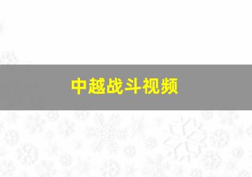 中越战斗视频