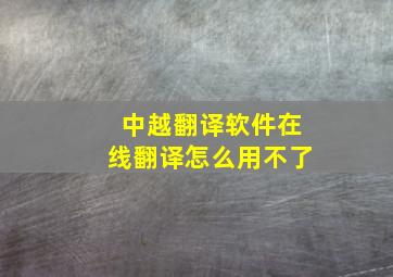 中越翻译软件在线翻译怎么用不了