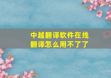 中越翻译软件在线翻译怎么用不了了