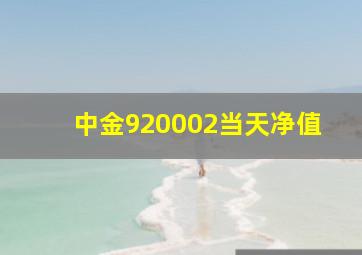 中金920002当天净值