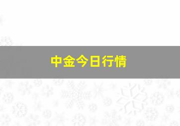 中金今日行情