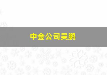 中金公司吴鹏