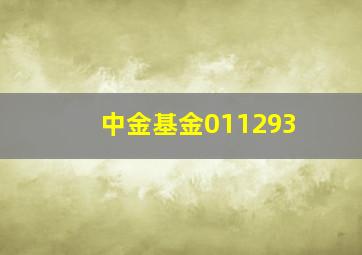 中金基金011293